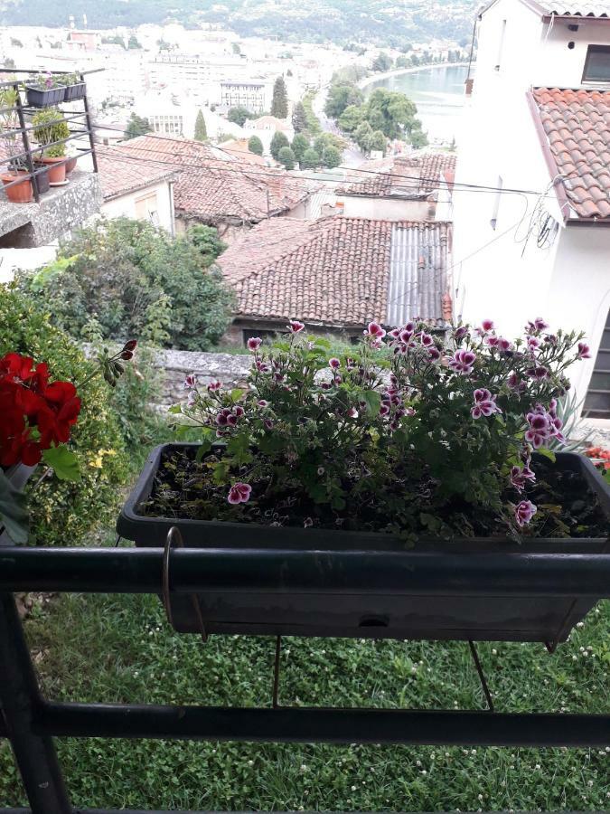 Bochkar Guest House Ohrid Exterior foto